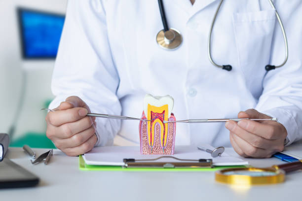 Professional Emergency Dental Service in NC
